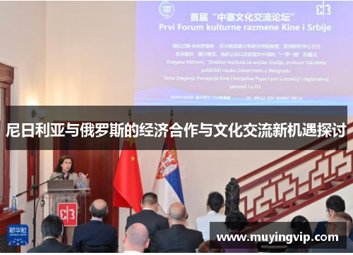 尼日利亚与俄罗斯的经济合作与文化交流新机遇探讨